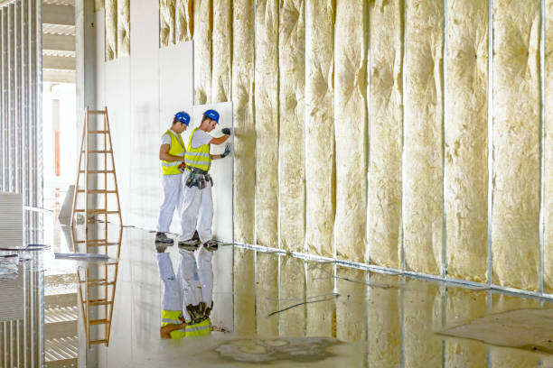 Best Residential Insulation in Fritz Creek, AK